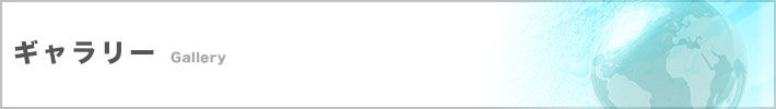 ギャラリー
